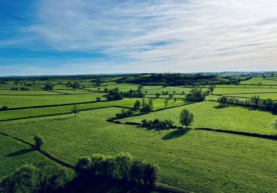 Rapport triennal d’artificialisation des sols