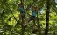 Image00001