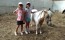 Image00013