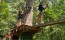 Image00062