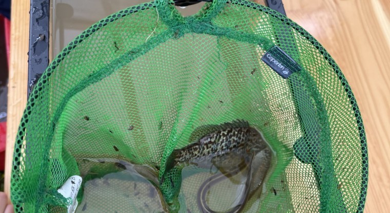 10 mai : pêche de sauvetage